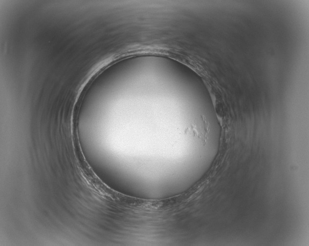 X0000078880148200612111748