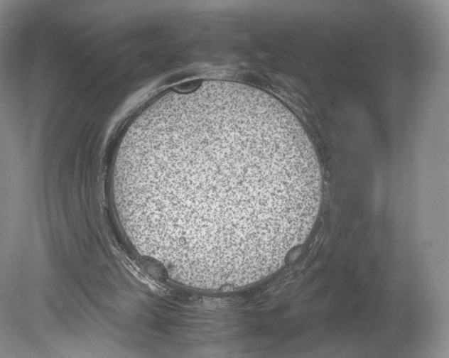 X0000078880149200612111748