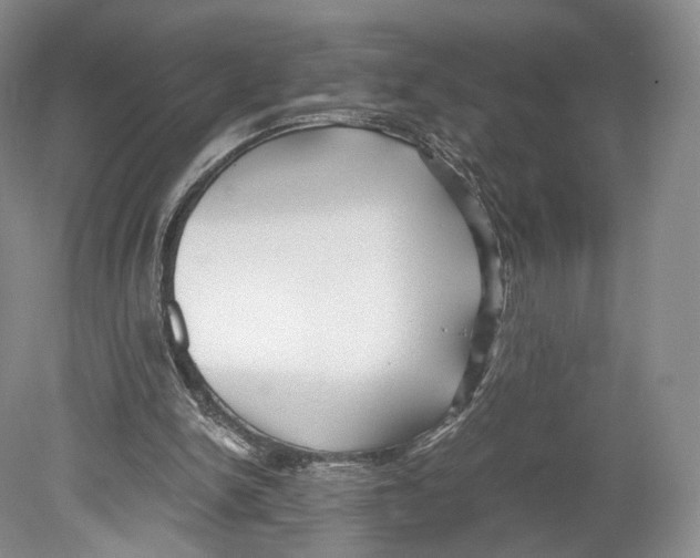 X0000078880150200612111748