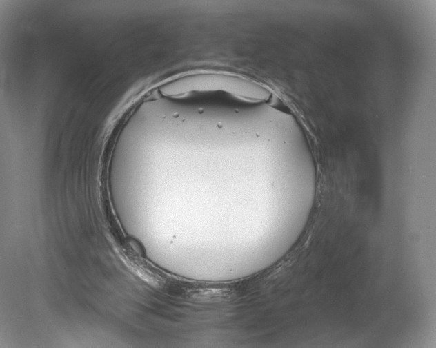 X0000078880151200612111748