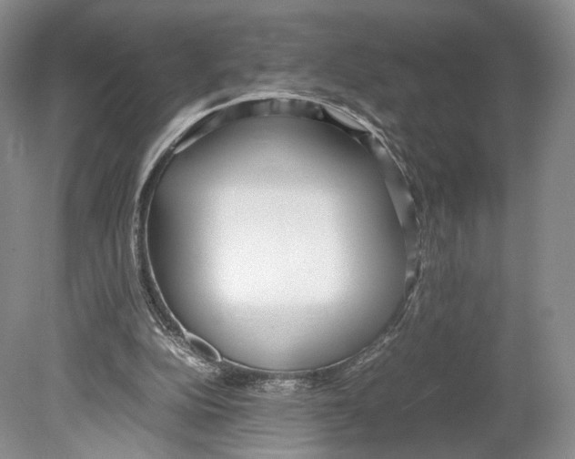 X0000078880152200612111748