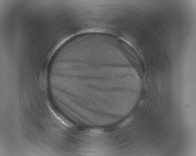 X0000078880156200612111748