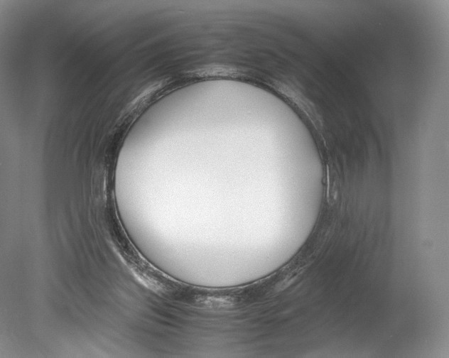 X0000078880157200612111748