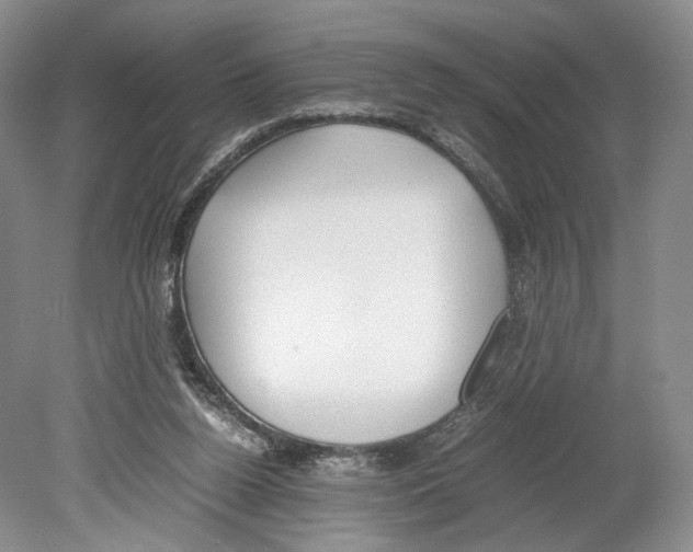 X0000078880160200612111748