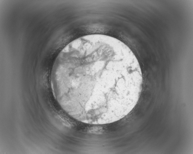 X0000078880162200612111748