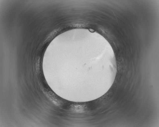 X0000078880163200612111748