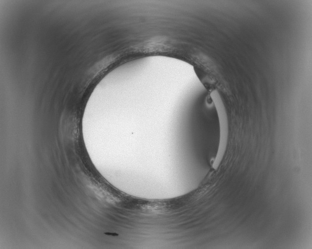 X0000078880164200612111748