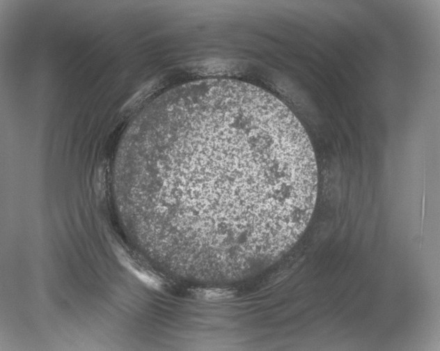 X0000078880165200612111748