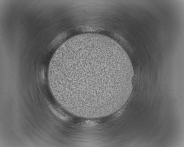 X0000078880166200612111748