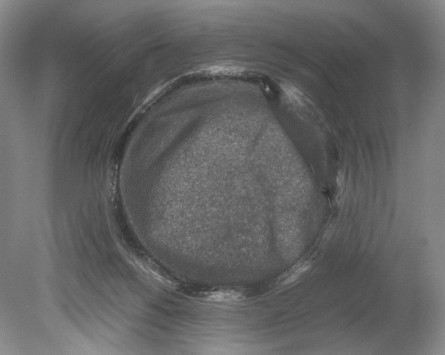 X0000078880168200612111748