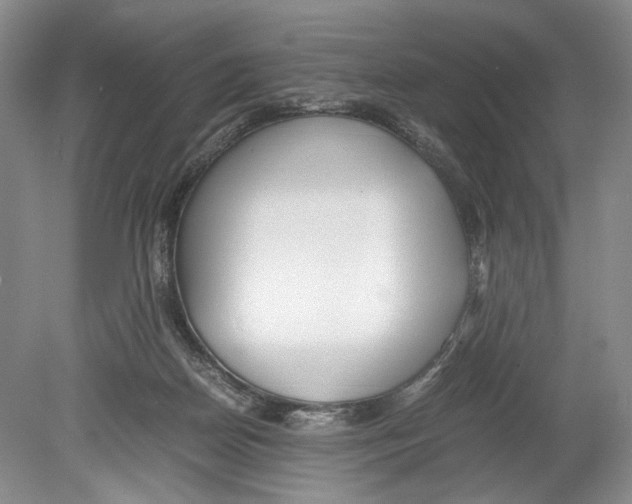 X0000078880170200612111748