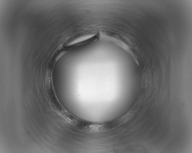 X0000078880172200612111749