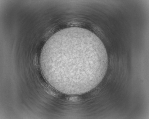 X0000078880173200612111749