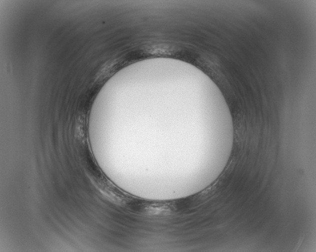 X0000078880175200612111749