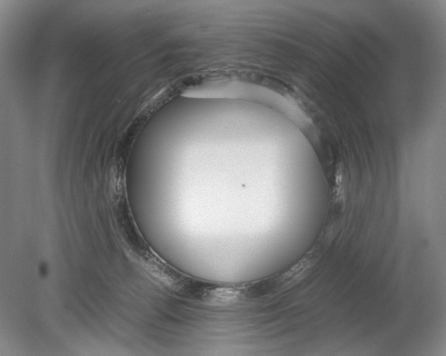 X0000078880176200612111749