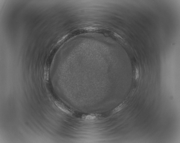 X0000078880180200612111749