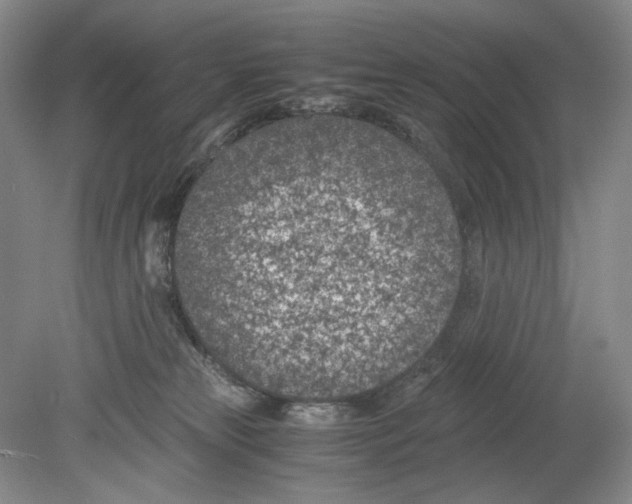 X0000078880181200612111749