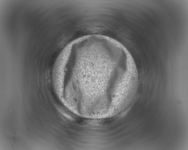 X0000078880182200612111749