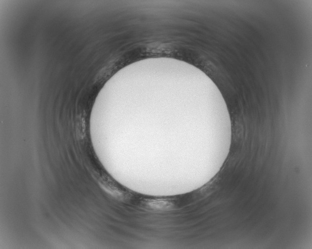 X0000078880183200612111749