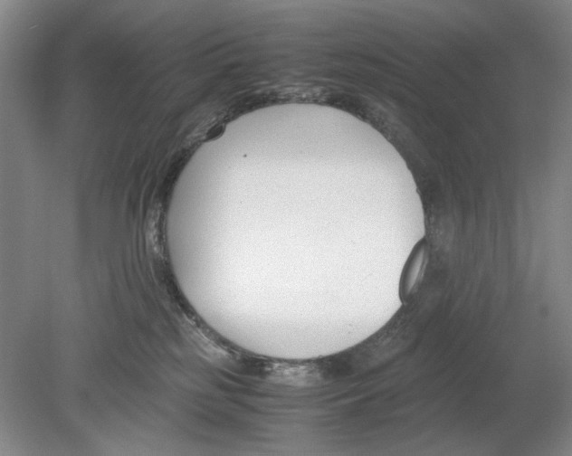 X0000078880185200612111749