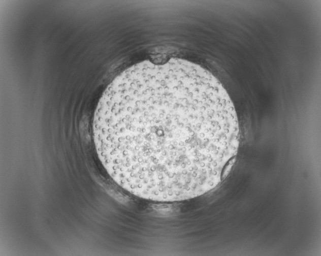 X0000078880187200612111749