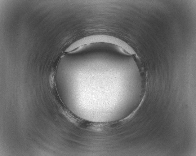 X0000078880190200612111749