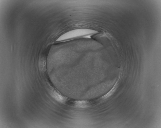 X0000078880192200612111749