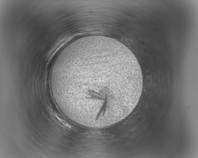 X0000078880194200612111748