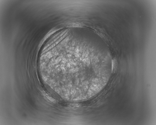 X0000078880195200612111748