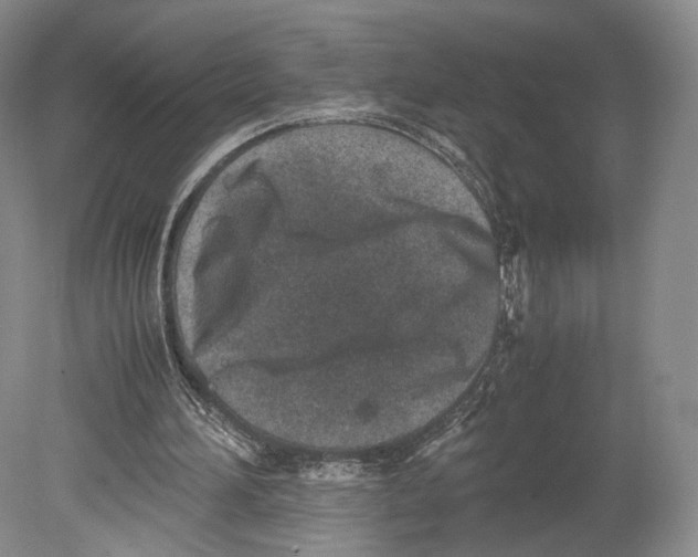 X0000078880196200612111748