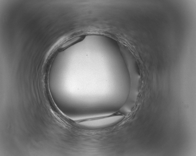 X0000078880197200612111748