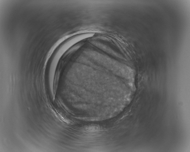 X0000078880200200612111748