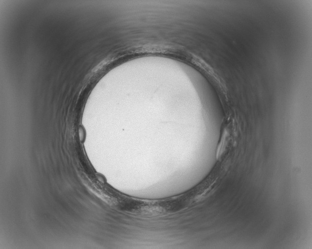 X0000078880203200612111748