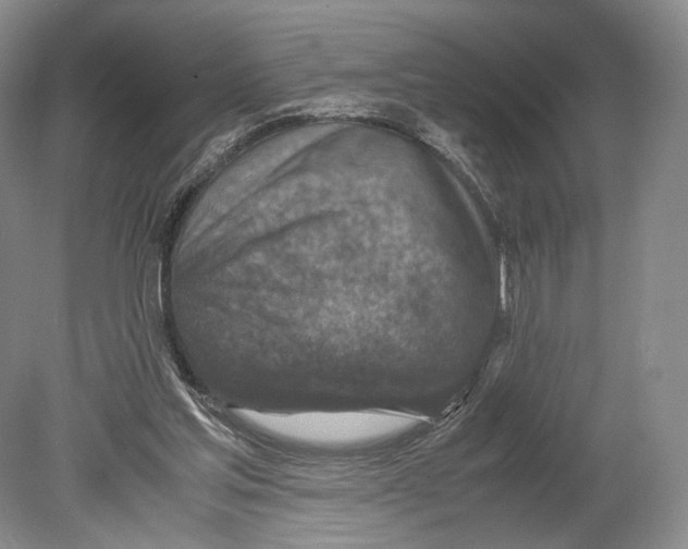 X0000078880205200612111748