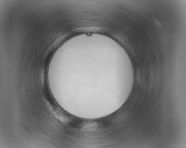 X0000078880206200612111748