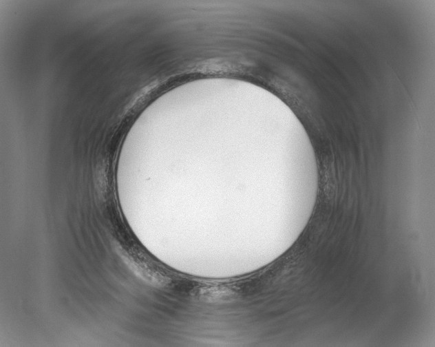 X0000078880208200612111748