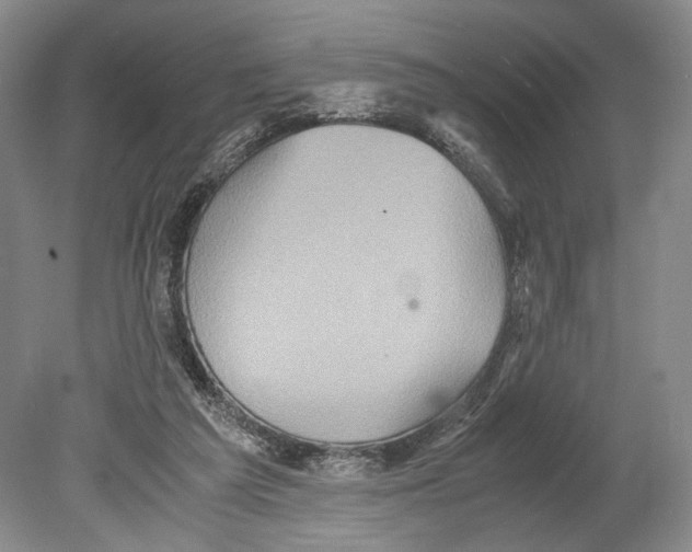 X0000078880209200612111748