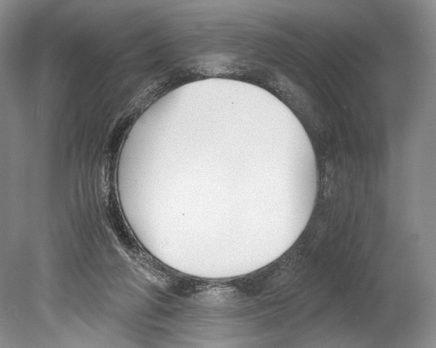 X0000078880210200612111748