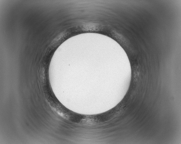 X0000078880211200612111748