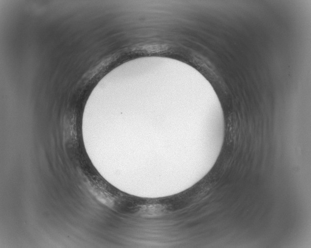 X0000078880212200612111748