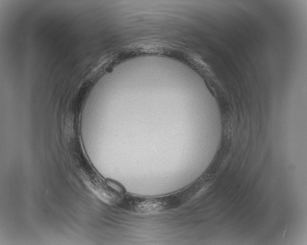 X0000078880213200612111748