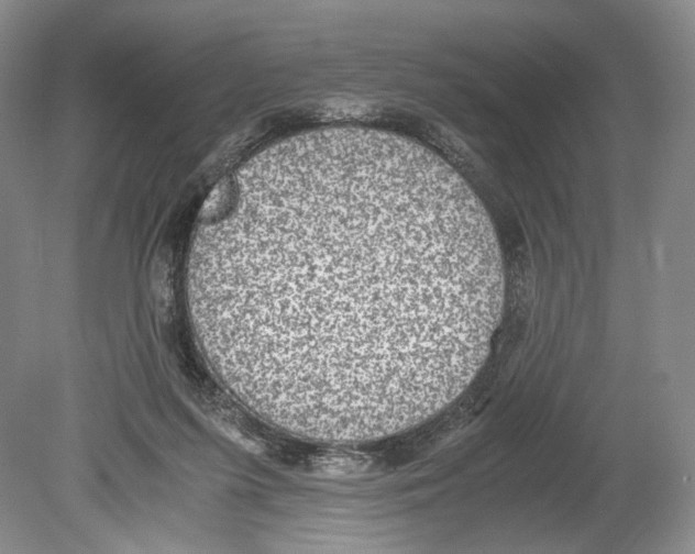 X0000078880215200612111748