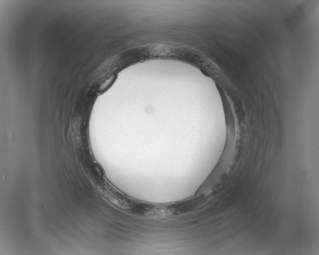 X0000078880217200612111748