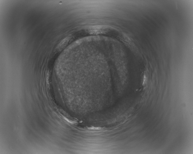 X0000078880219200612111748