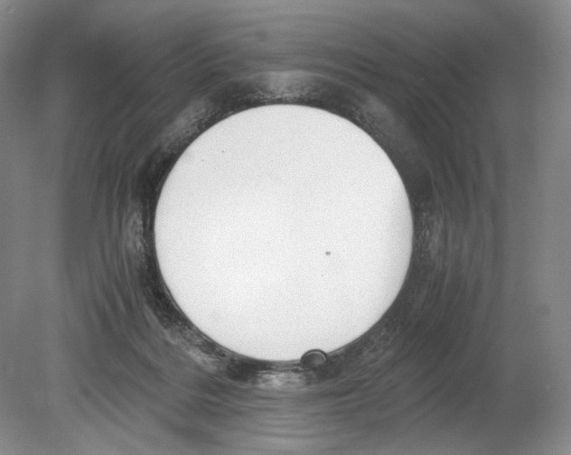 X0000078880220200612111748