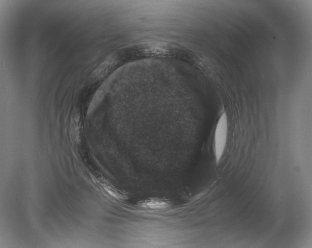 X0000078880223200612111748