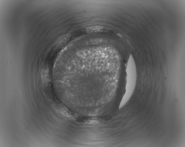 X0000078880224200612111748