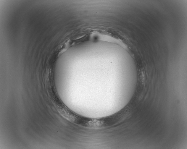 X0000078880225200612111748