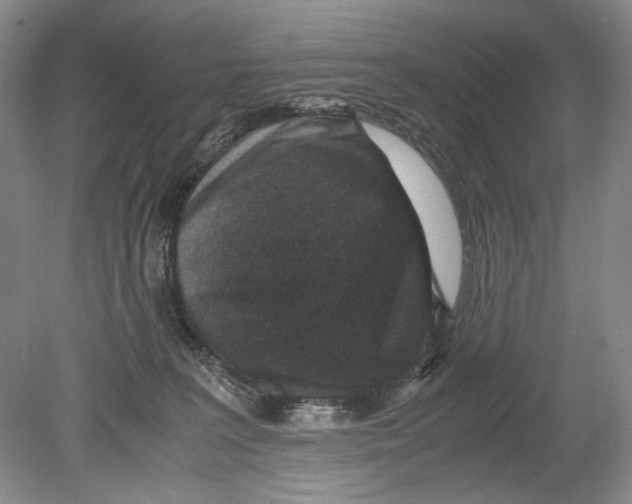 X0000078880227200612111747