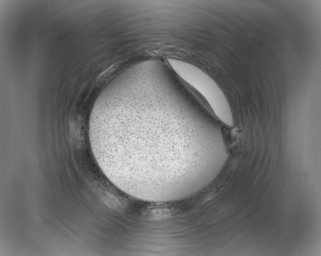 X0000078880228200612111747